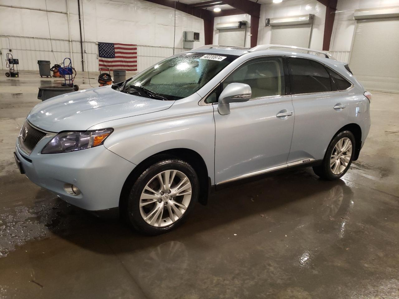 2010 LEXUS RX 450 car image