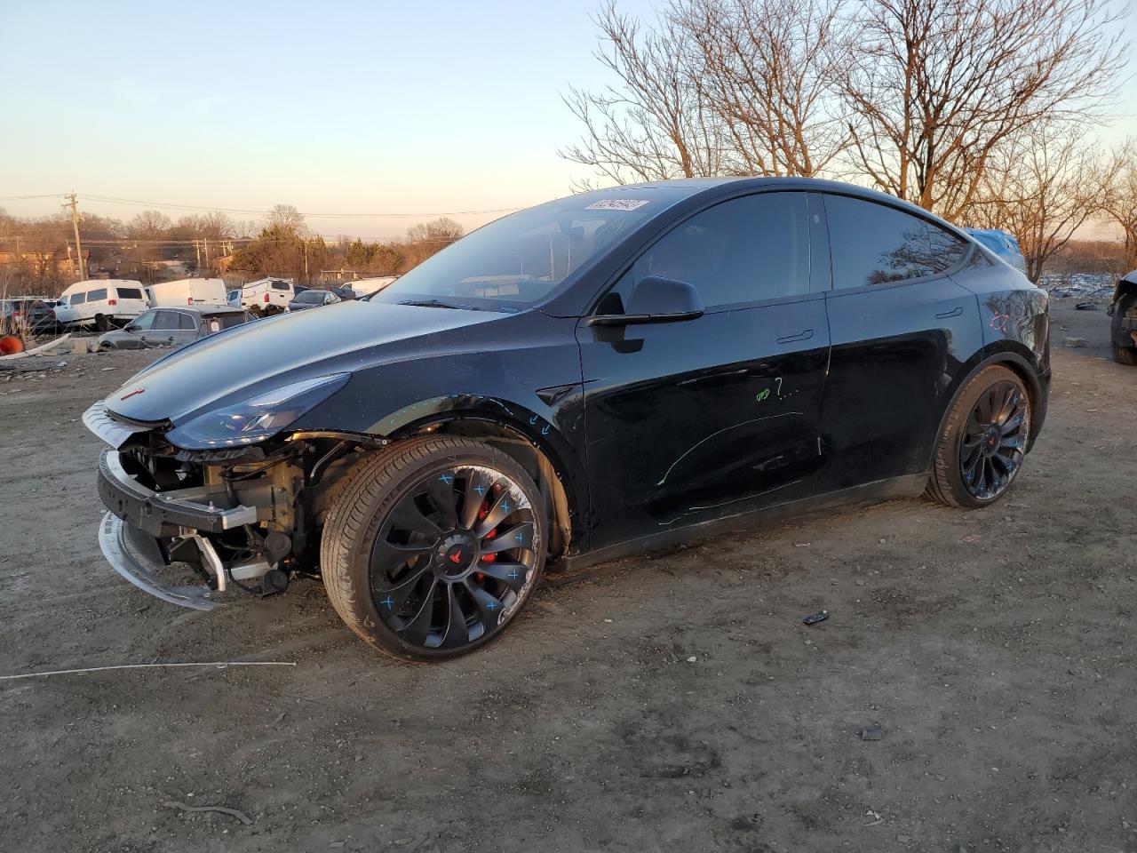 2023 TESLA MODEL Y car image