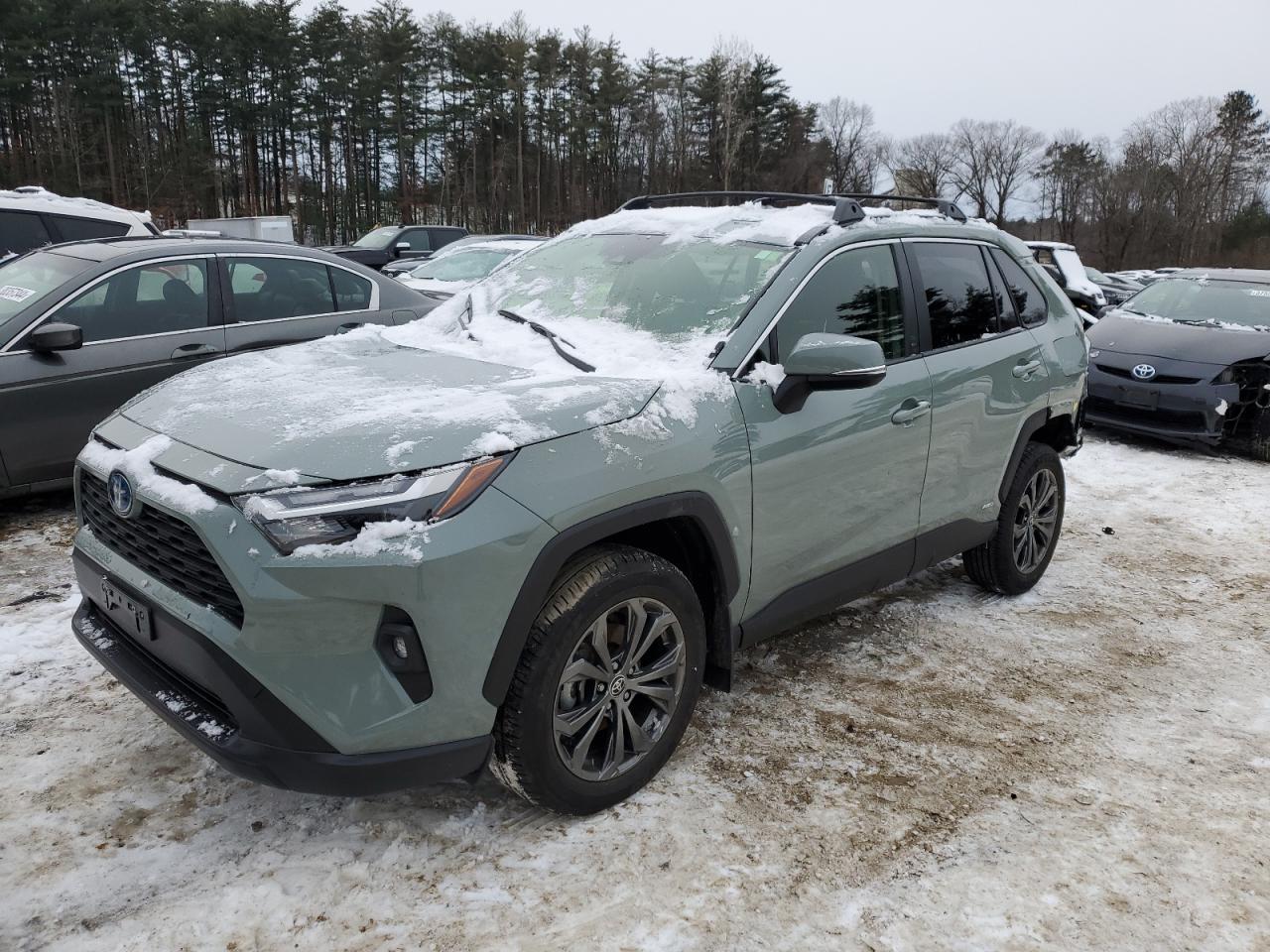 2023 TOYOTA RAV4 XLE P car image