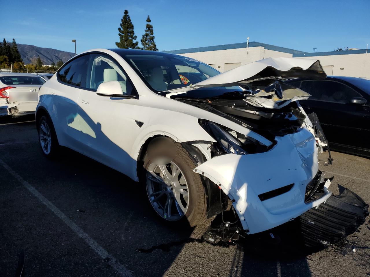 2023 TESLA MODEL Y - Image 4