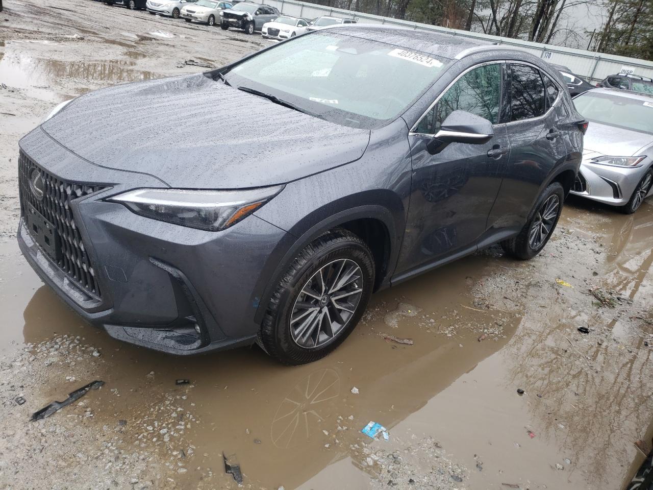 2023 LEXUS NX 350 car image