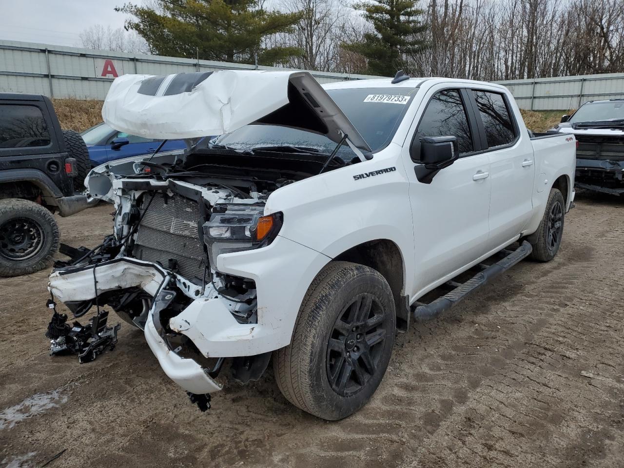 2023 CHEVROLET SILVERADO car image