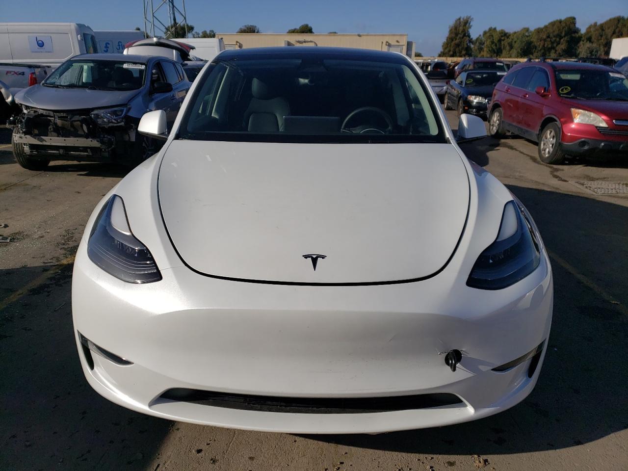 2023 TESLA MODEL Y - Фото 5