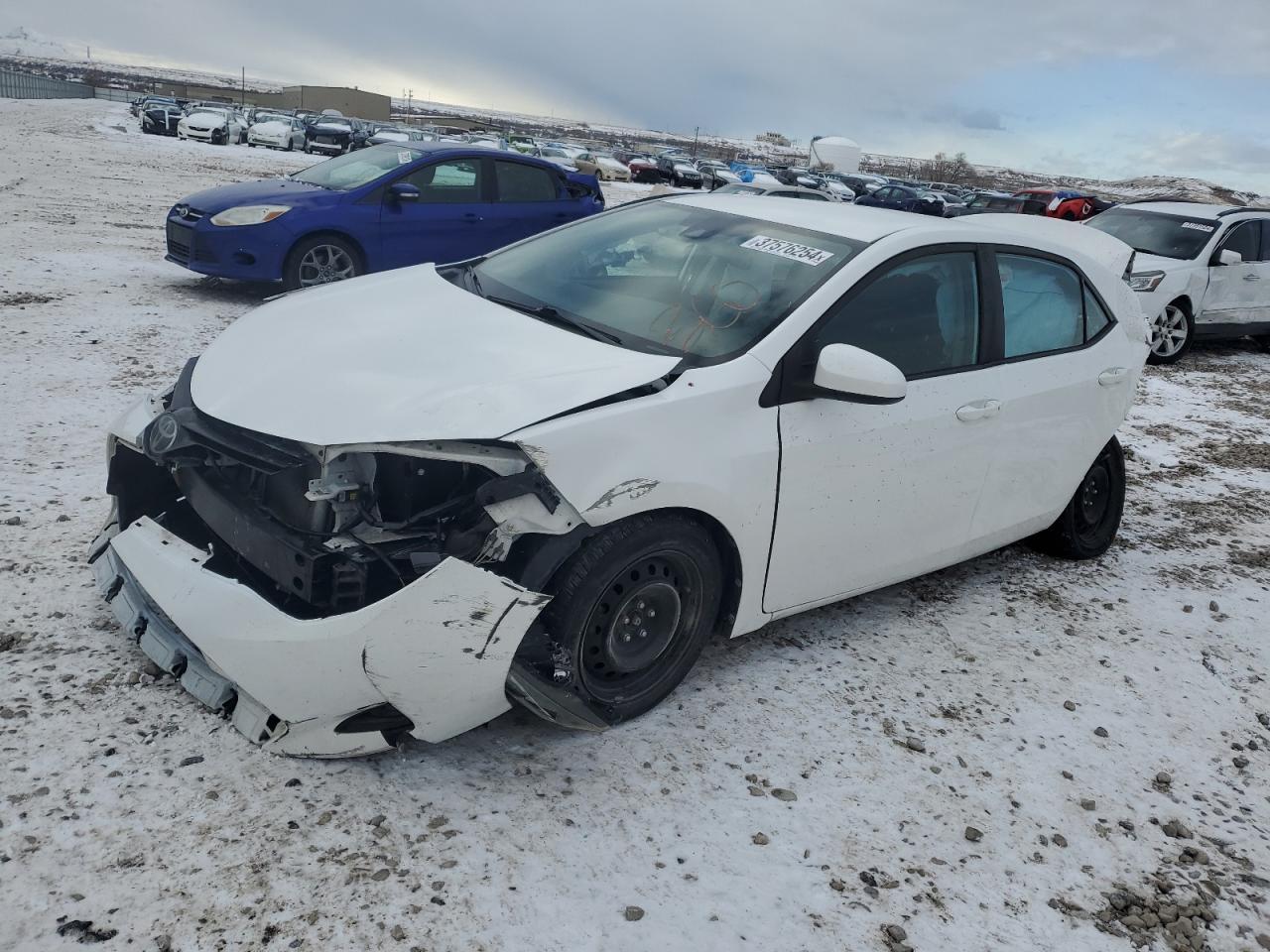 2019 TOYOTA COROLLA L car image