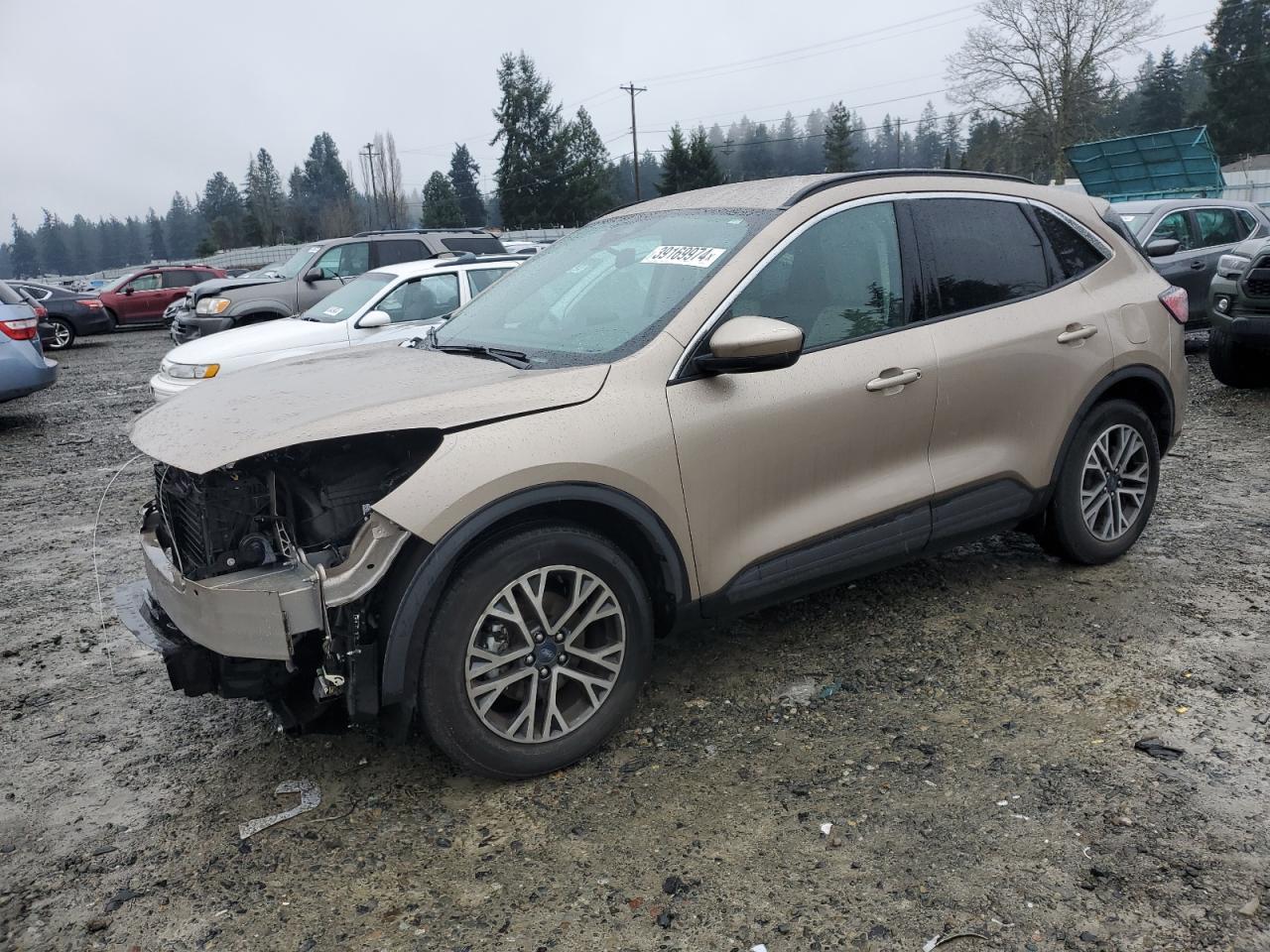 2020 FORD ESCAPE SEL