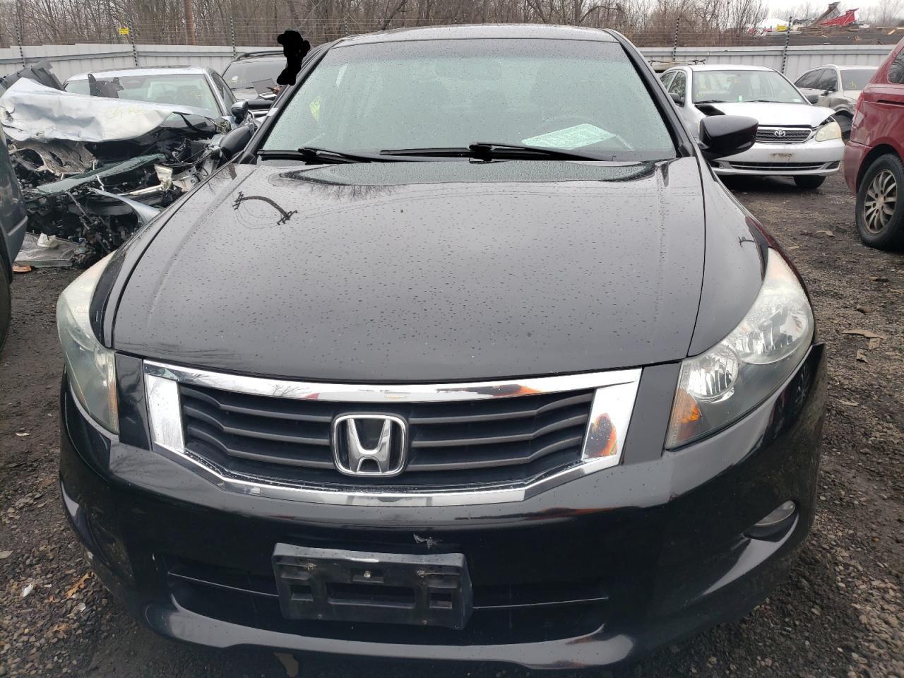 2010 HONDA ACCORD EXL - Image 5