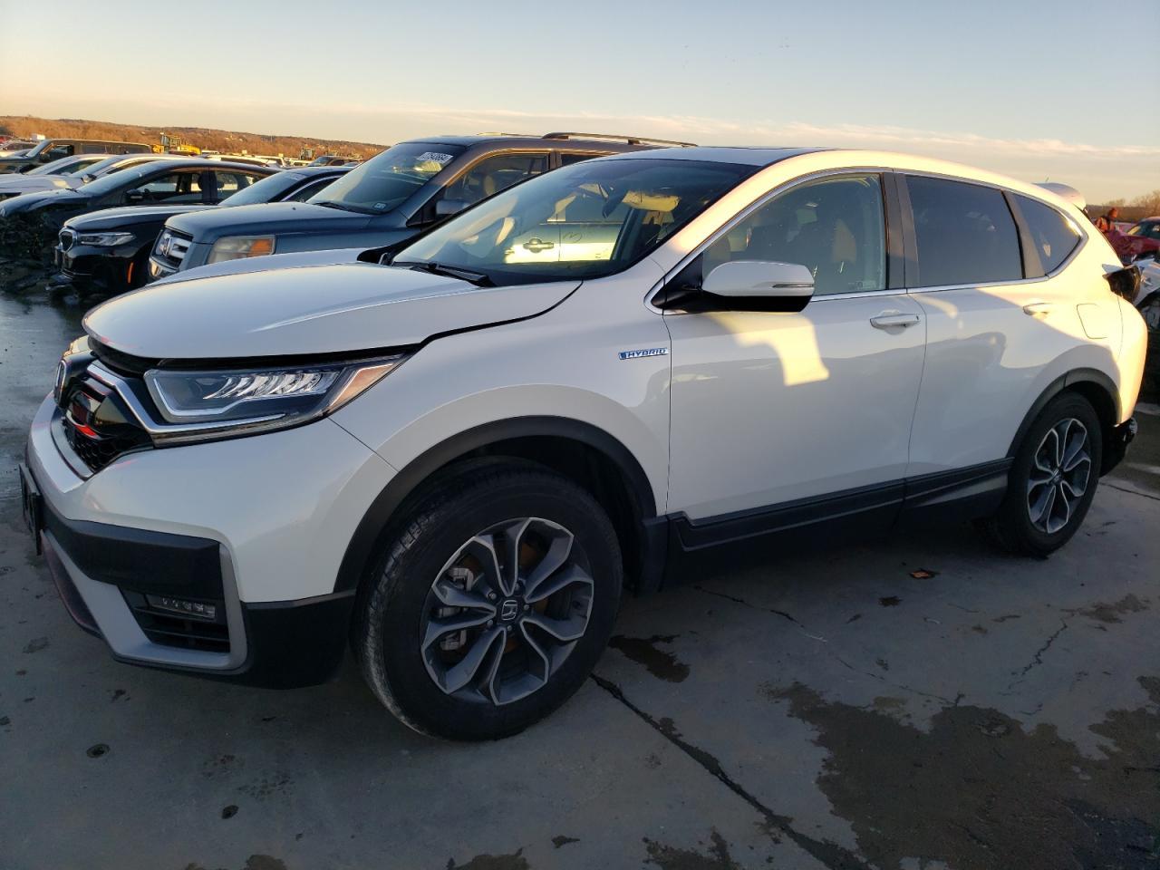 2022 HONDA CR-V EXL