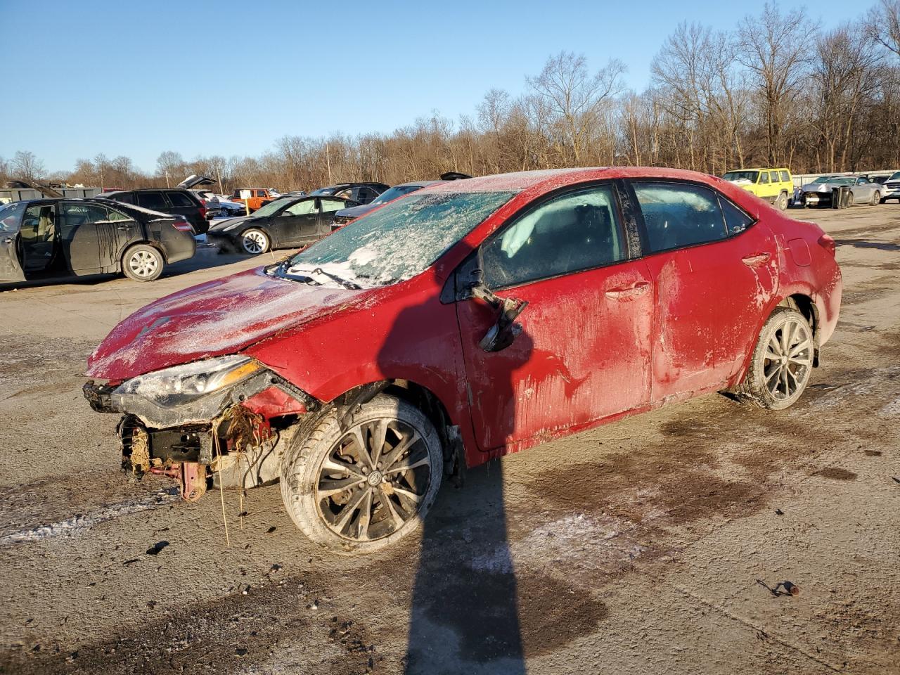 2019 TOYOTA COROLLA L