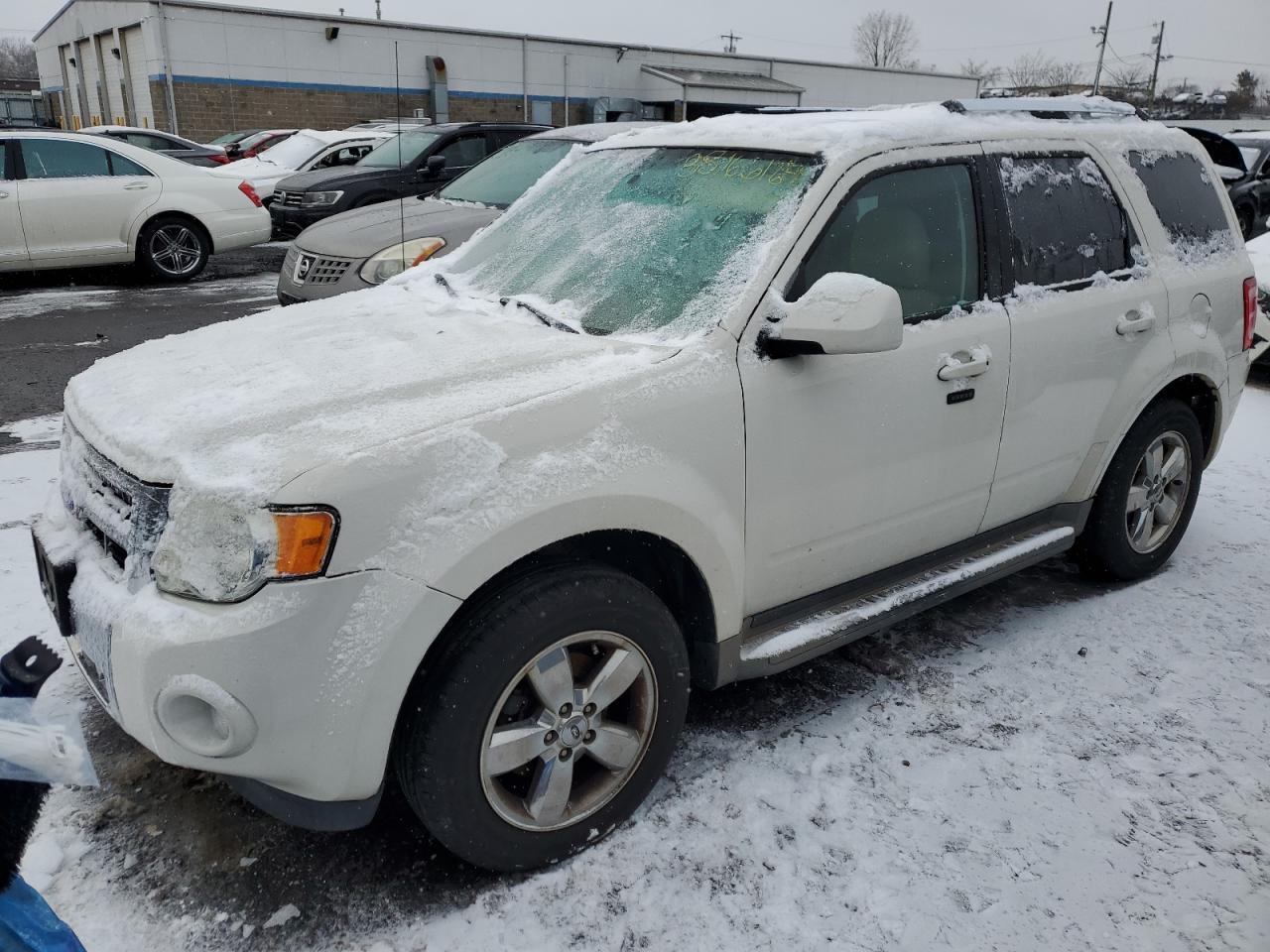 2011 FORD ESCAPE car image