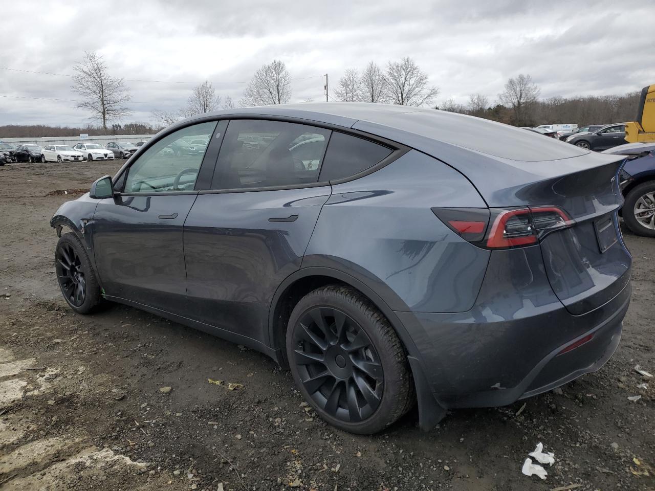 2023 TESLA MODEL Y - Фото 2