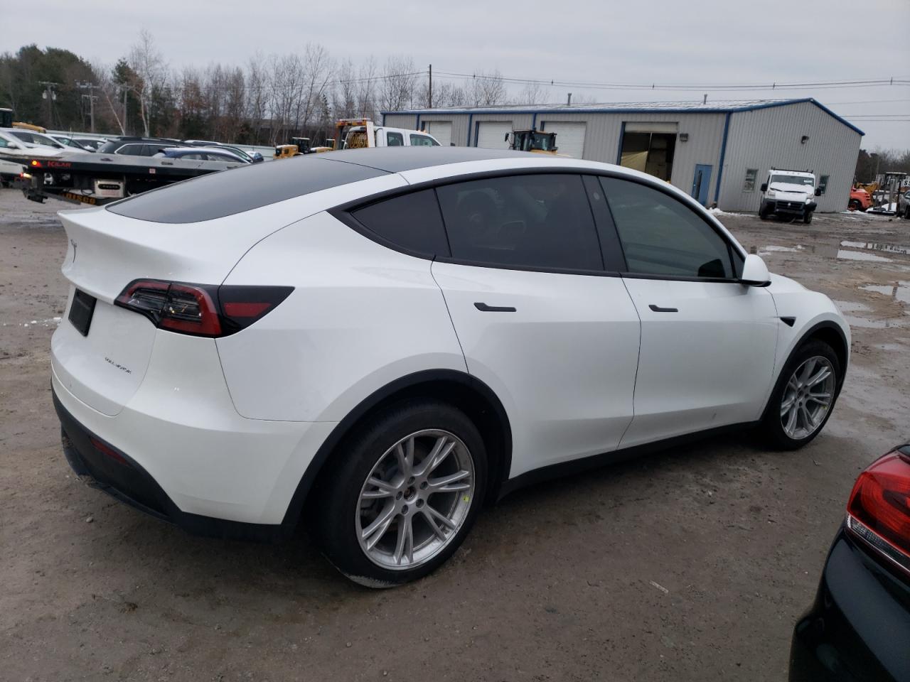 2023 TESLA MODEL Y - Фото 3