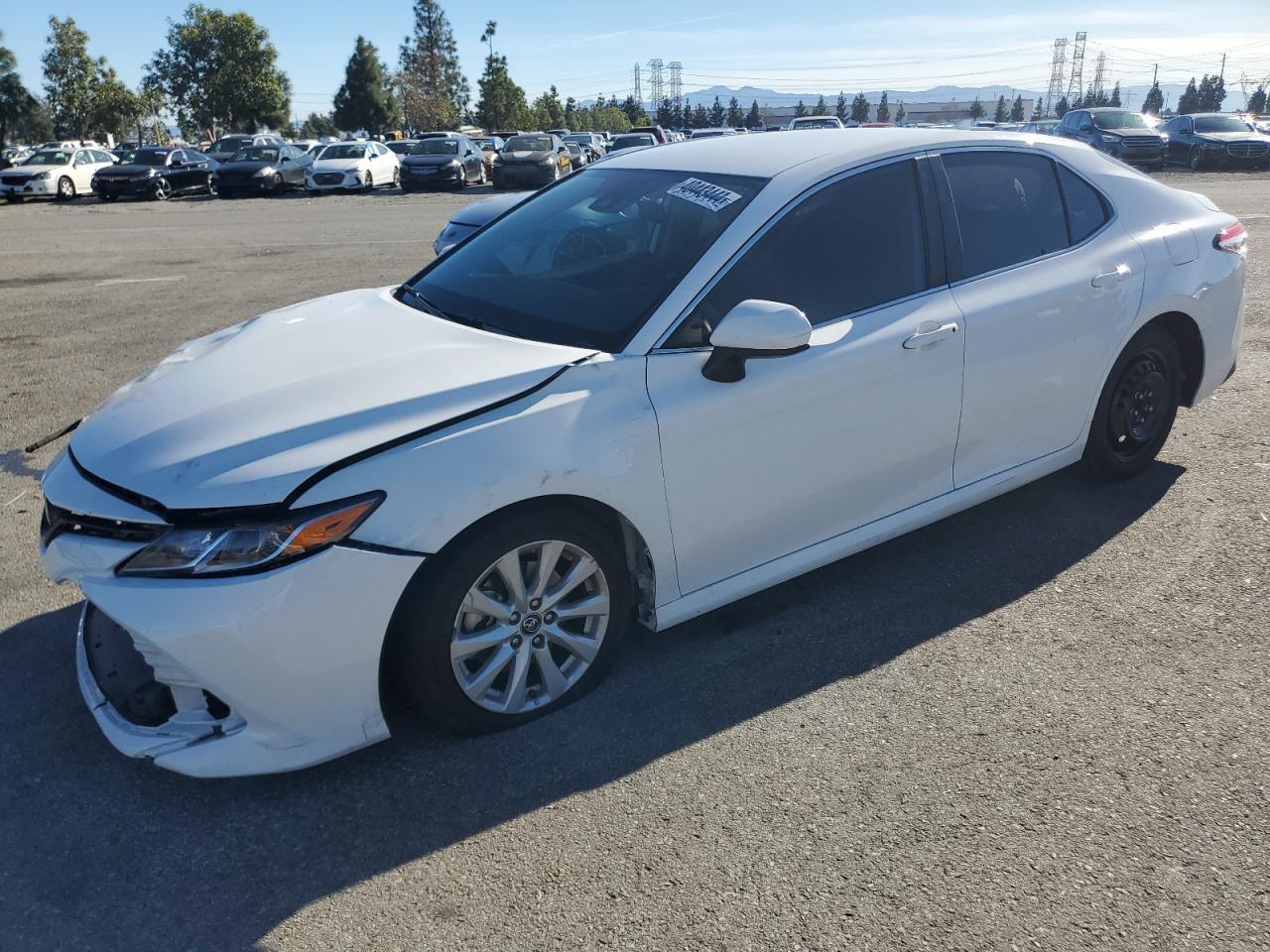 2019 TOYOTA CAMRY L