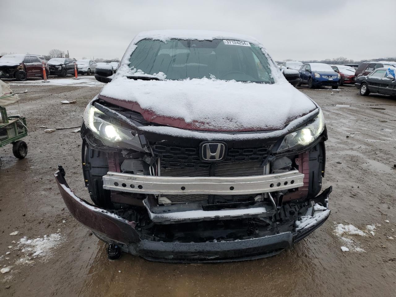2019 HONDA PASSPORT E - Фото 5