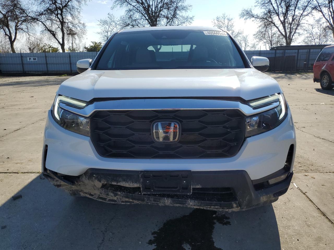 2023 HONDA PASSPORT E - Image 5