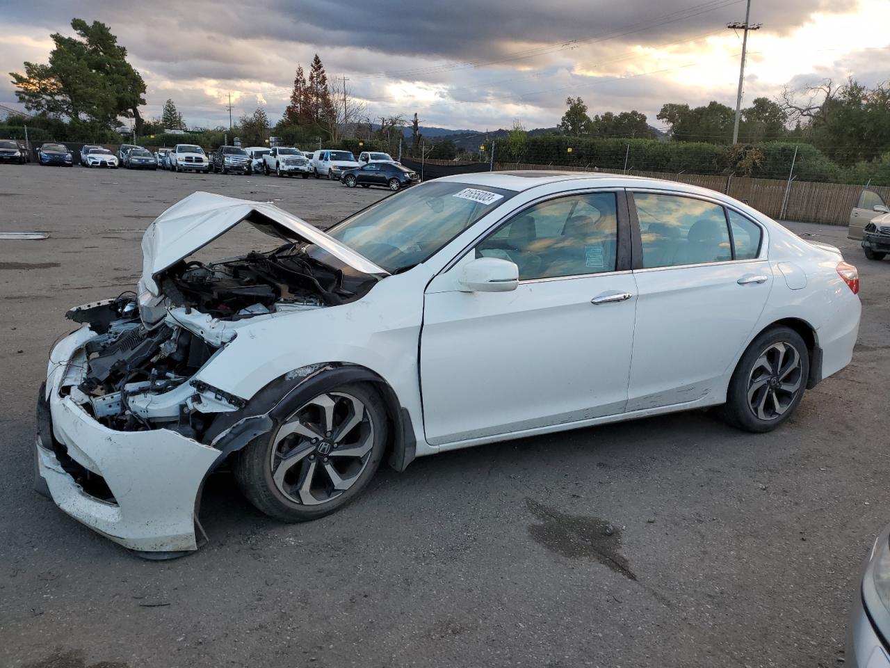 2016 HONDA ACCORD EXL