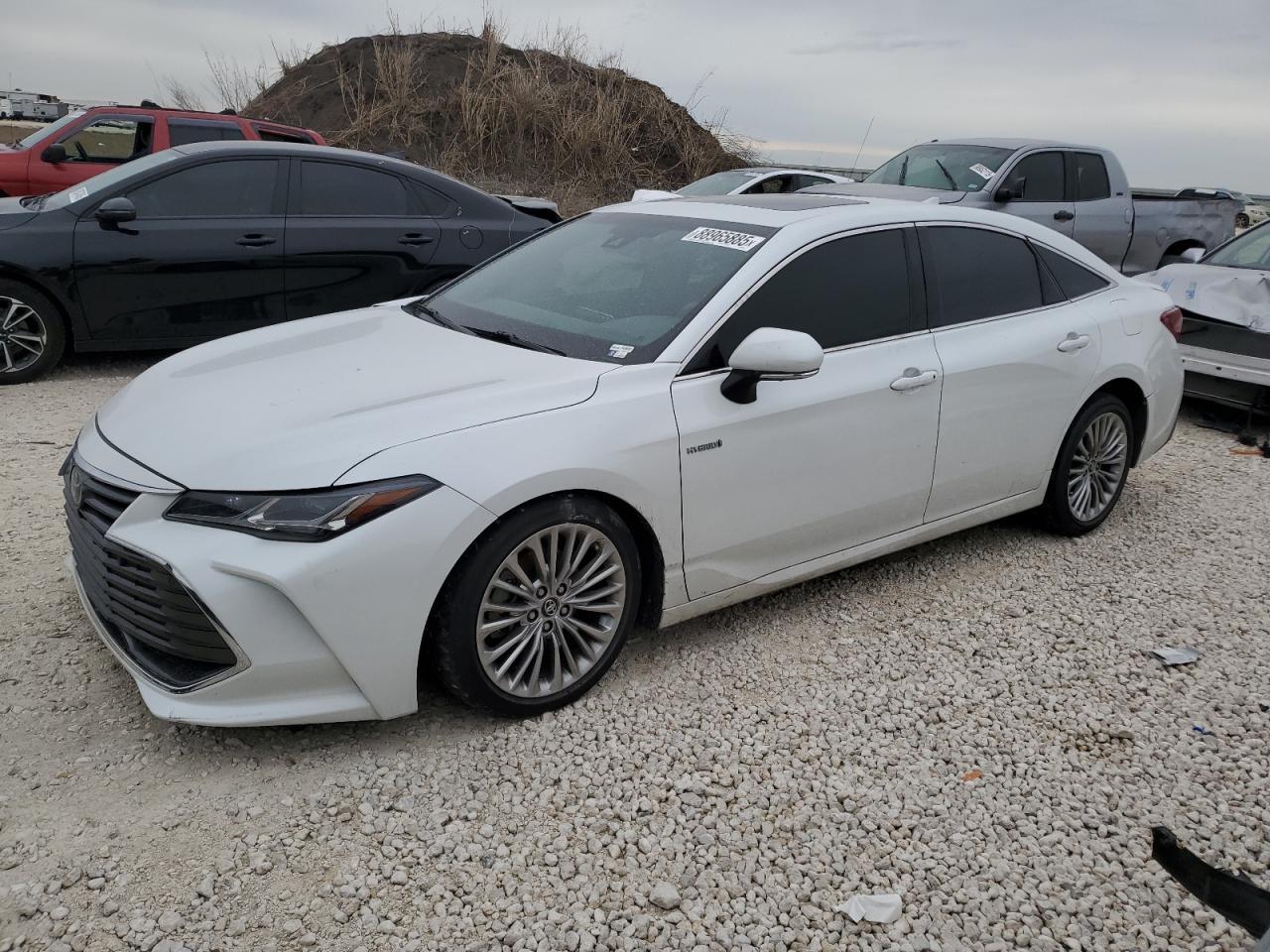 2019 TOYOTA AVALON XLE
