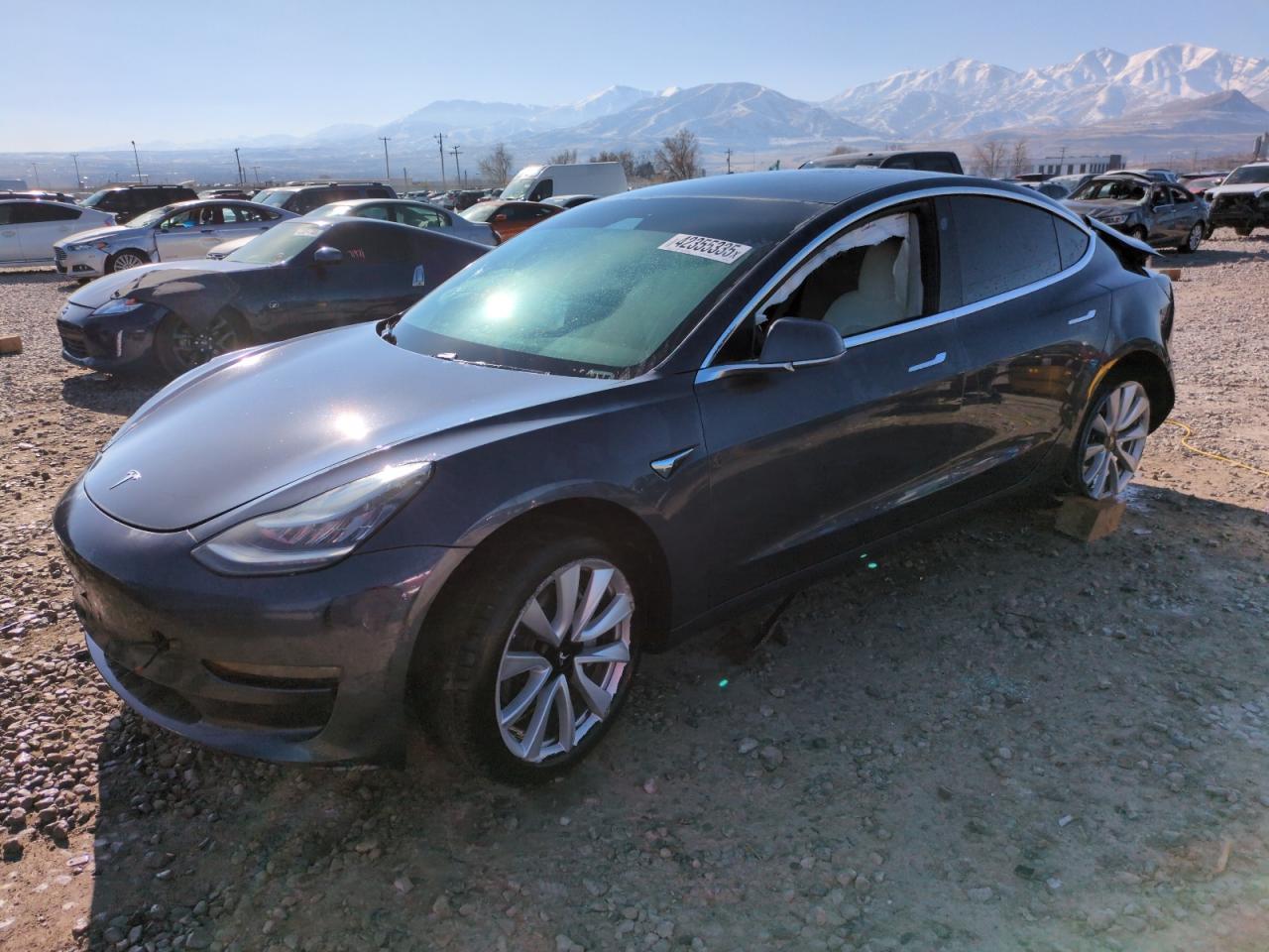 2019 TESLA MODEL 3