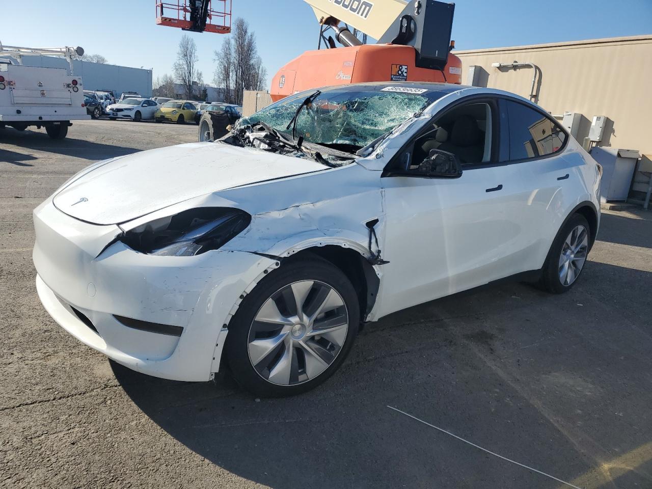 2024 TESLA MODEL Y