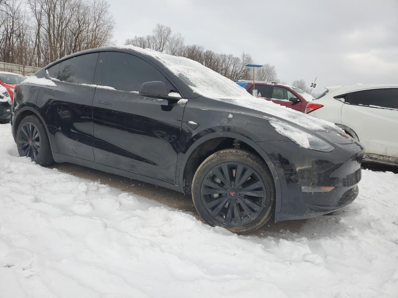 2023 TESLA MODEL Y - Фото 4
