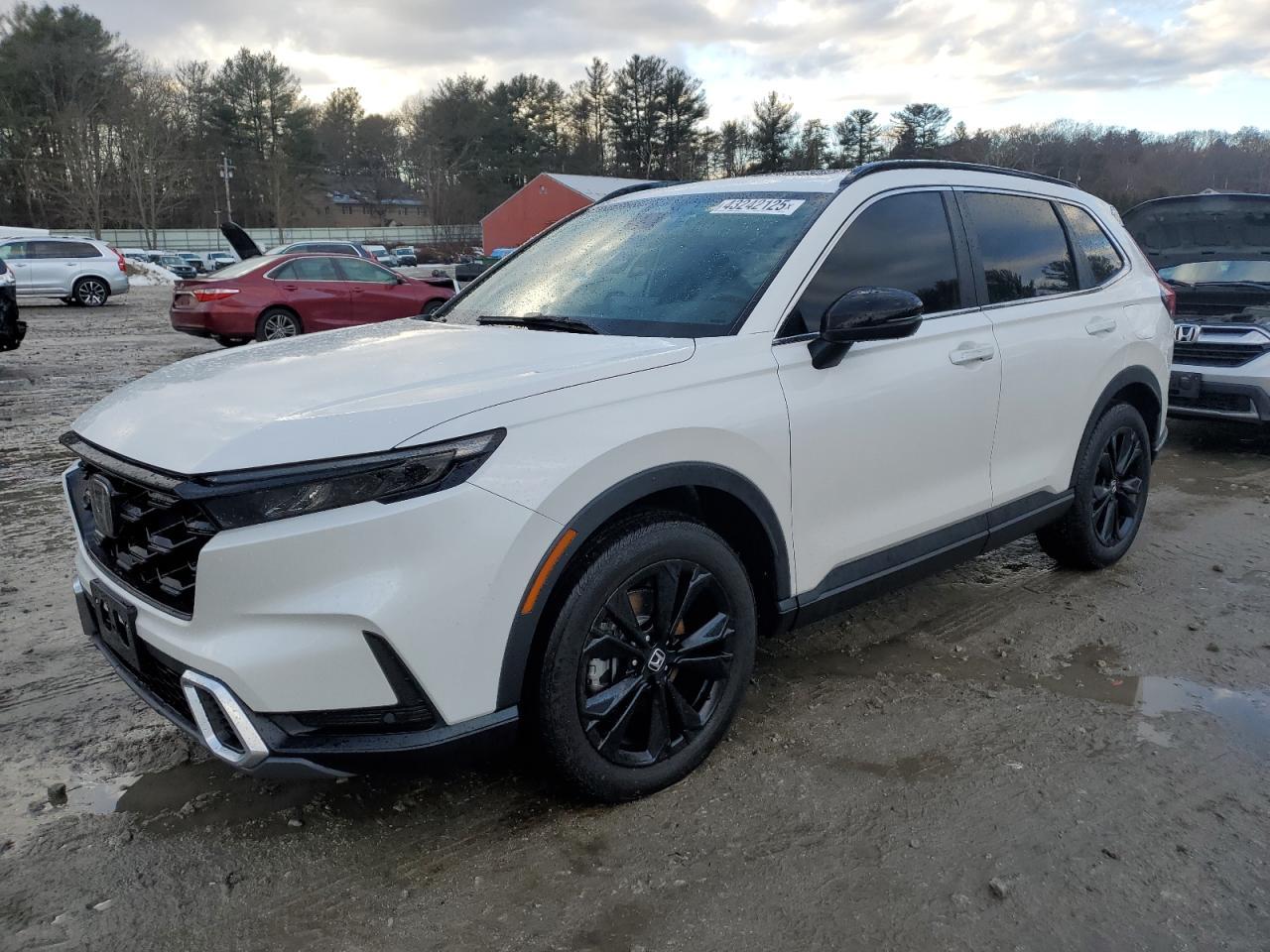 2024 HONDA CR-V SPORT