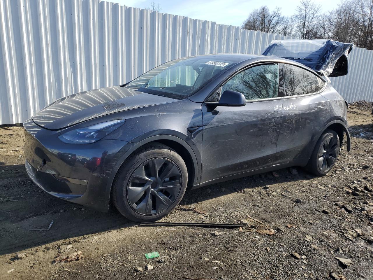 2025 TESLA MODEL Y