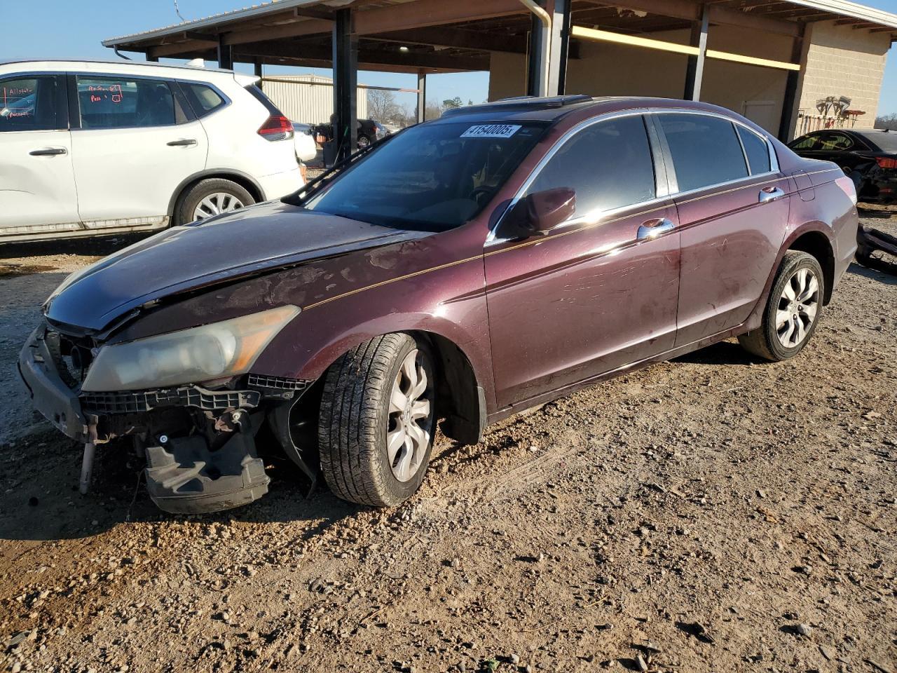2010 HONDA ACCORD EXL