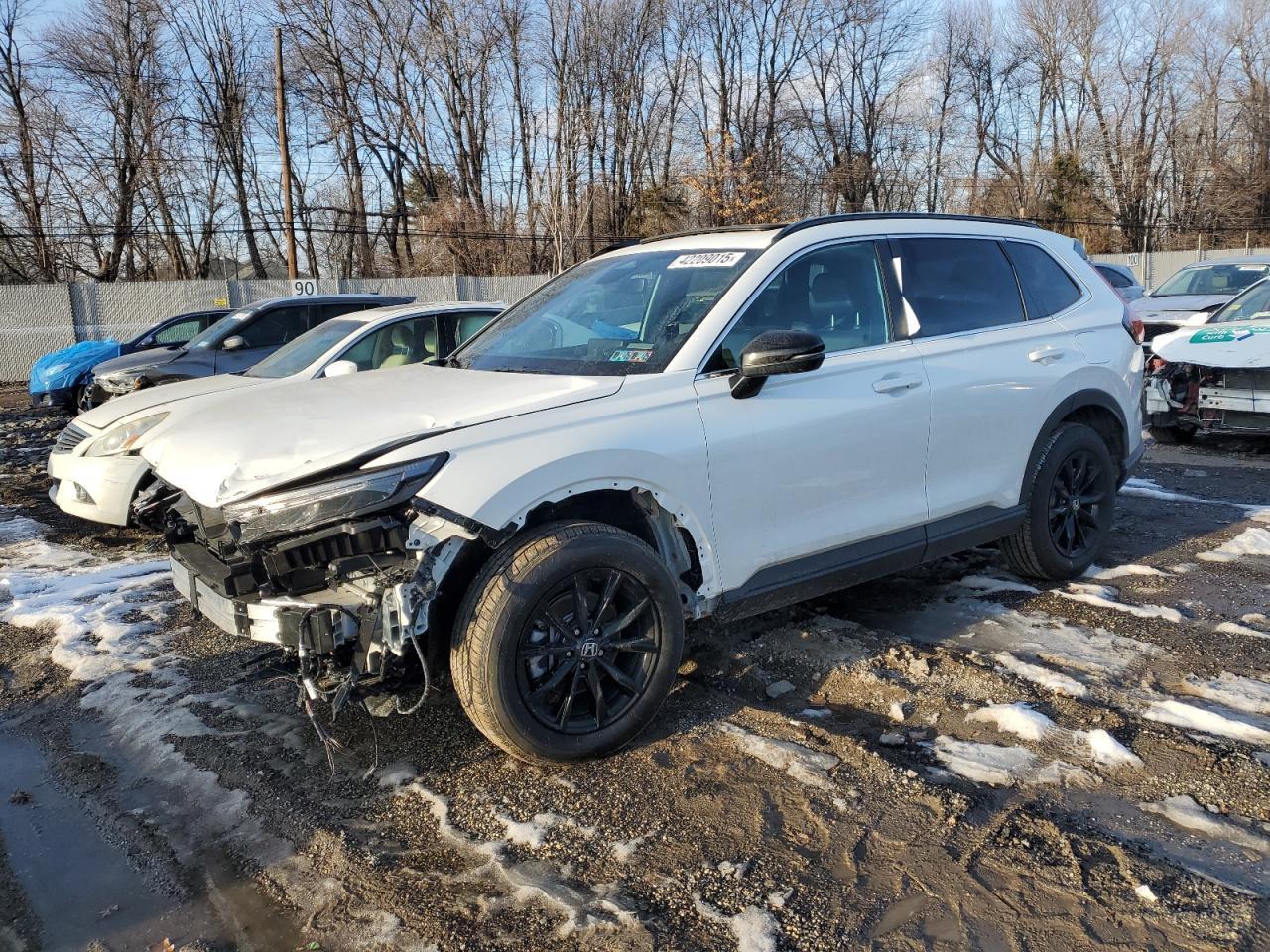 2025 HONDA CR-V SPORT