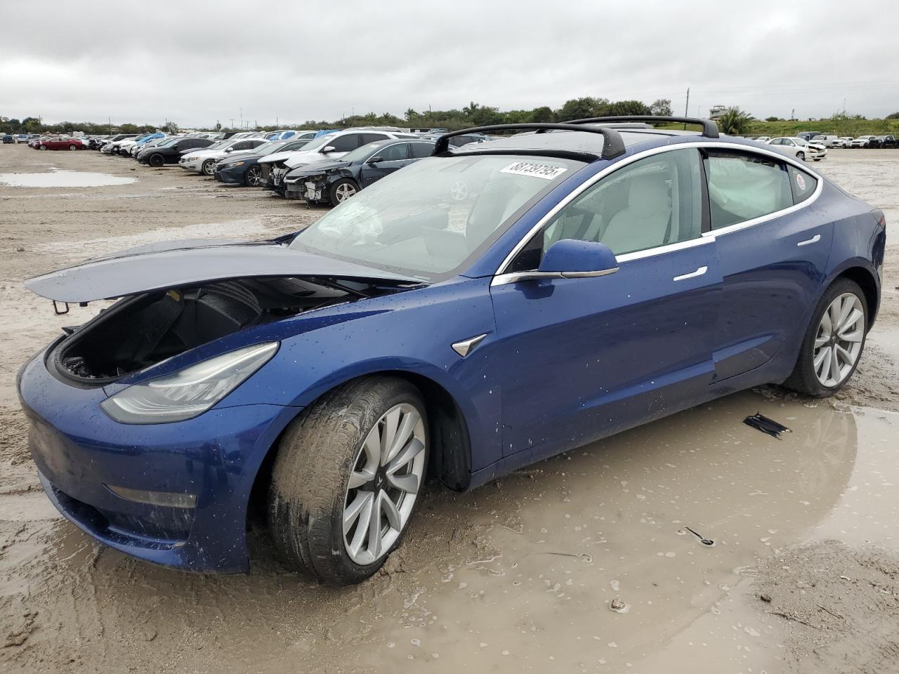 2019 TESLA MODEL 3