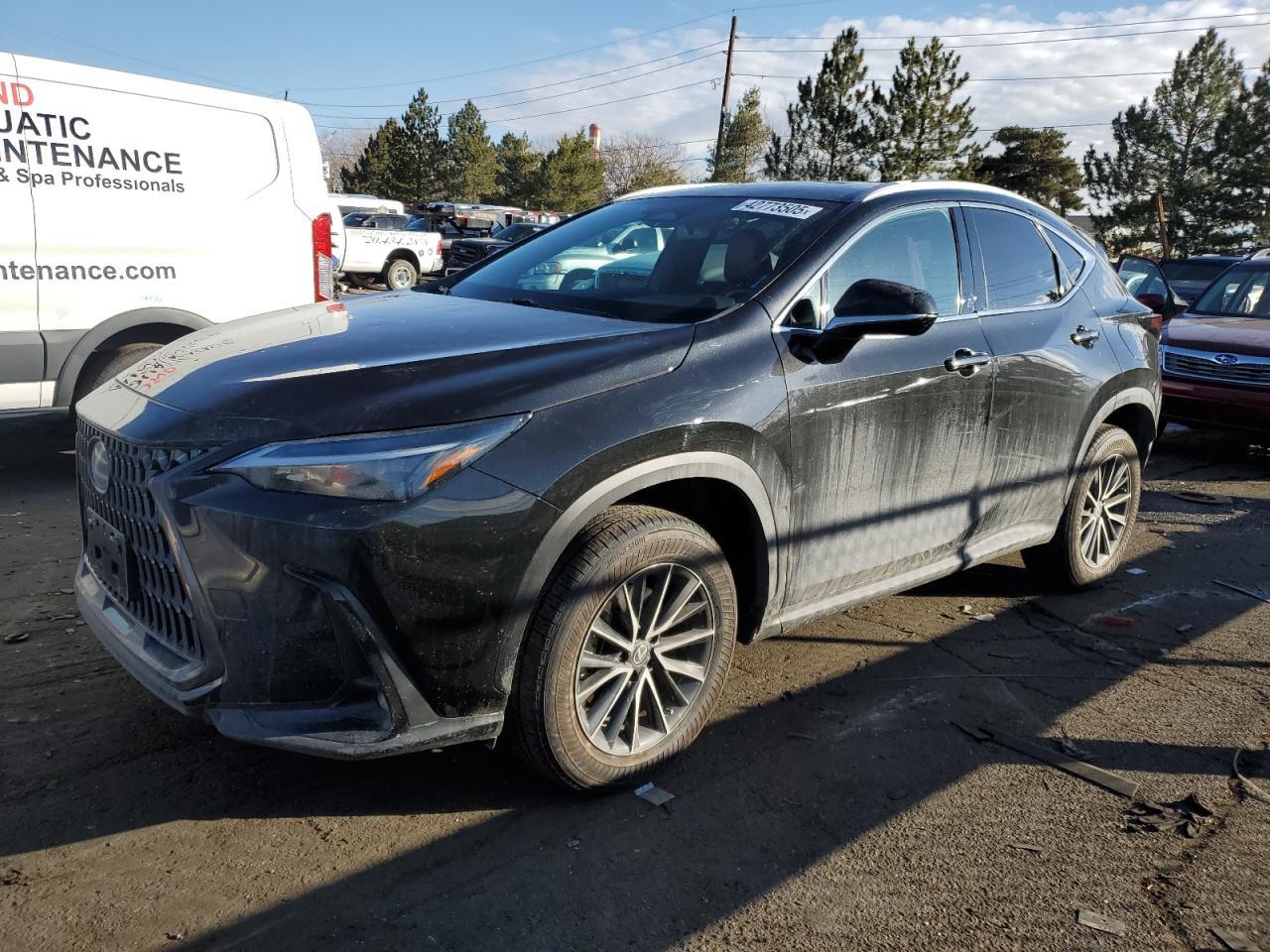 2023 LEXUS NX 350