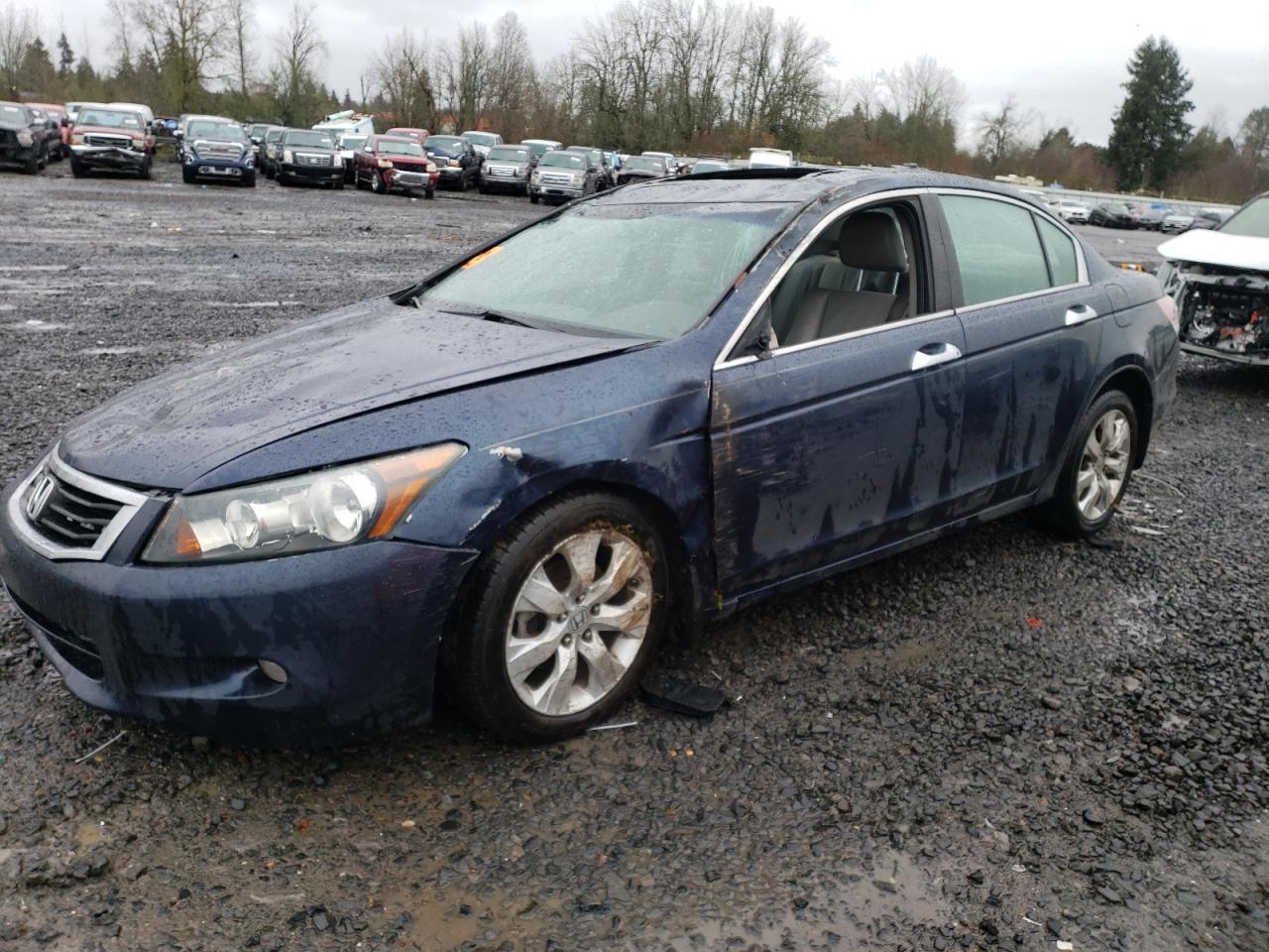 2010 HONDA ACCORD EXL