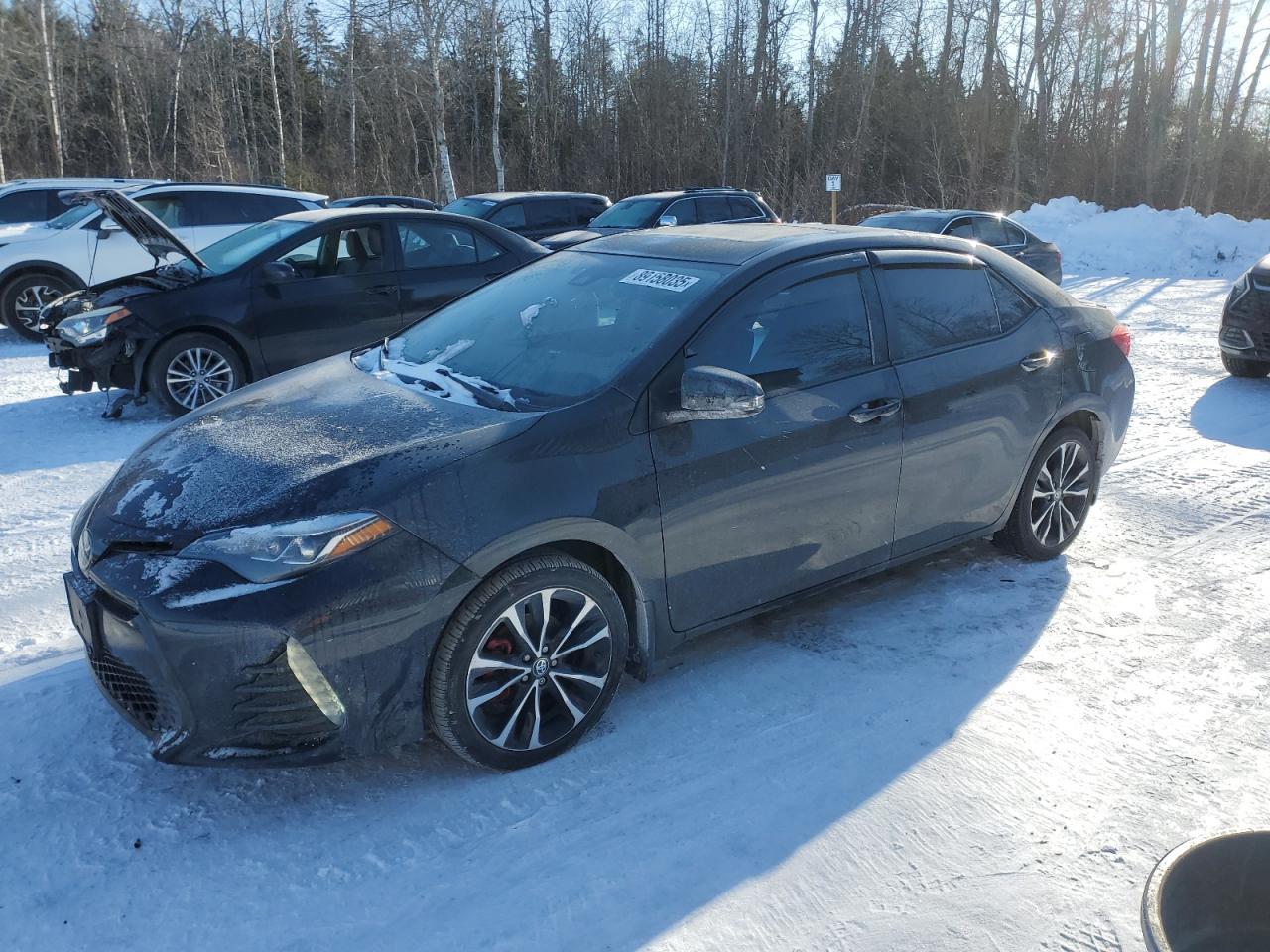 2019 TOYOTA COROLLA L