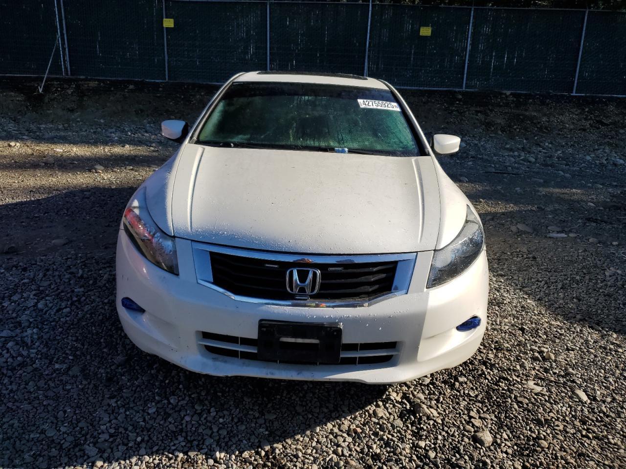 2010 HONDA ACCORD EXL - Image 5