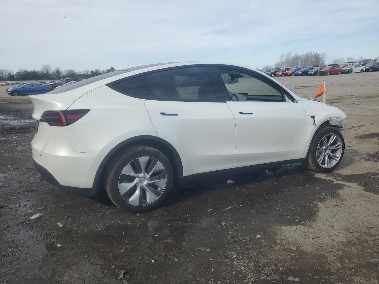 2024 TESLA MODEL Y - Image 3