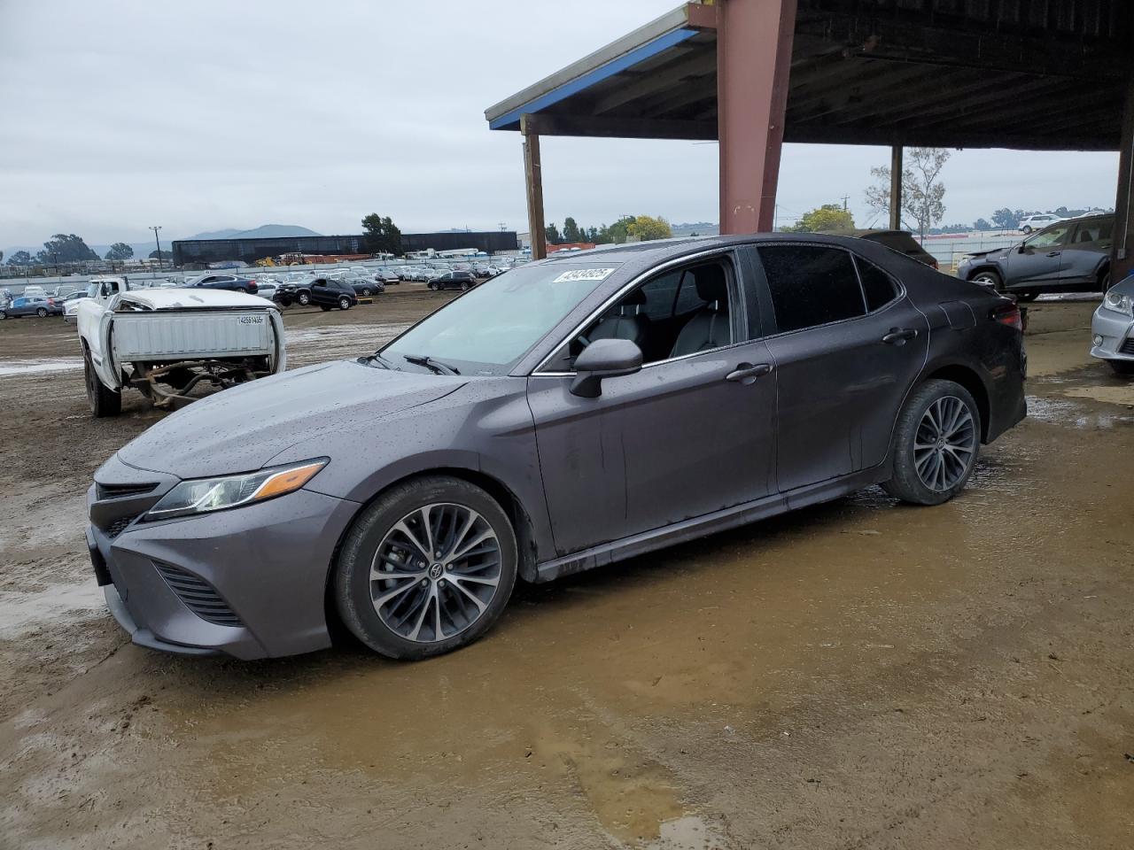 2019 TOYOTA CAMRY L