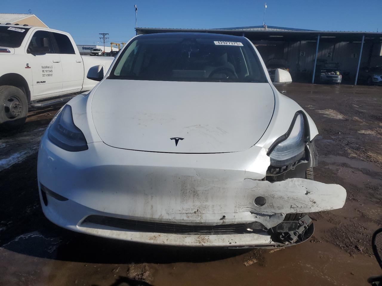 2023 TESLA MODEL Y - Фото 5