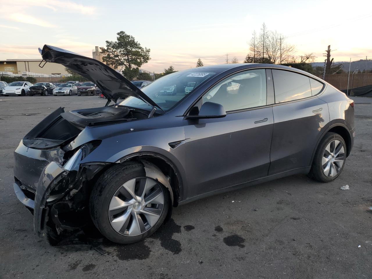 2023 TESLA MODEL Y