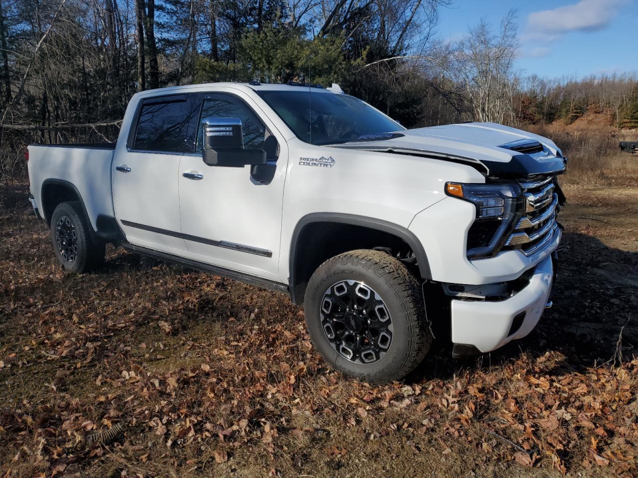 2024 CHEVROLET SILVERADO - Image 4
