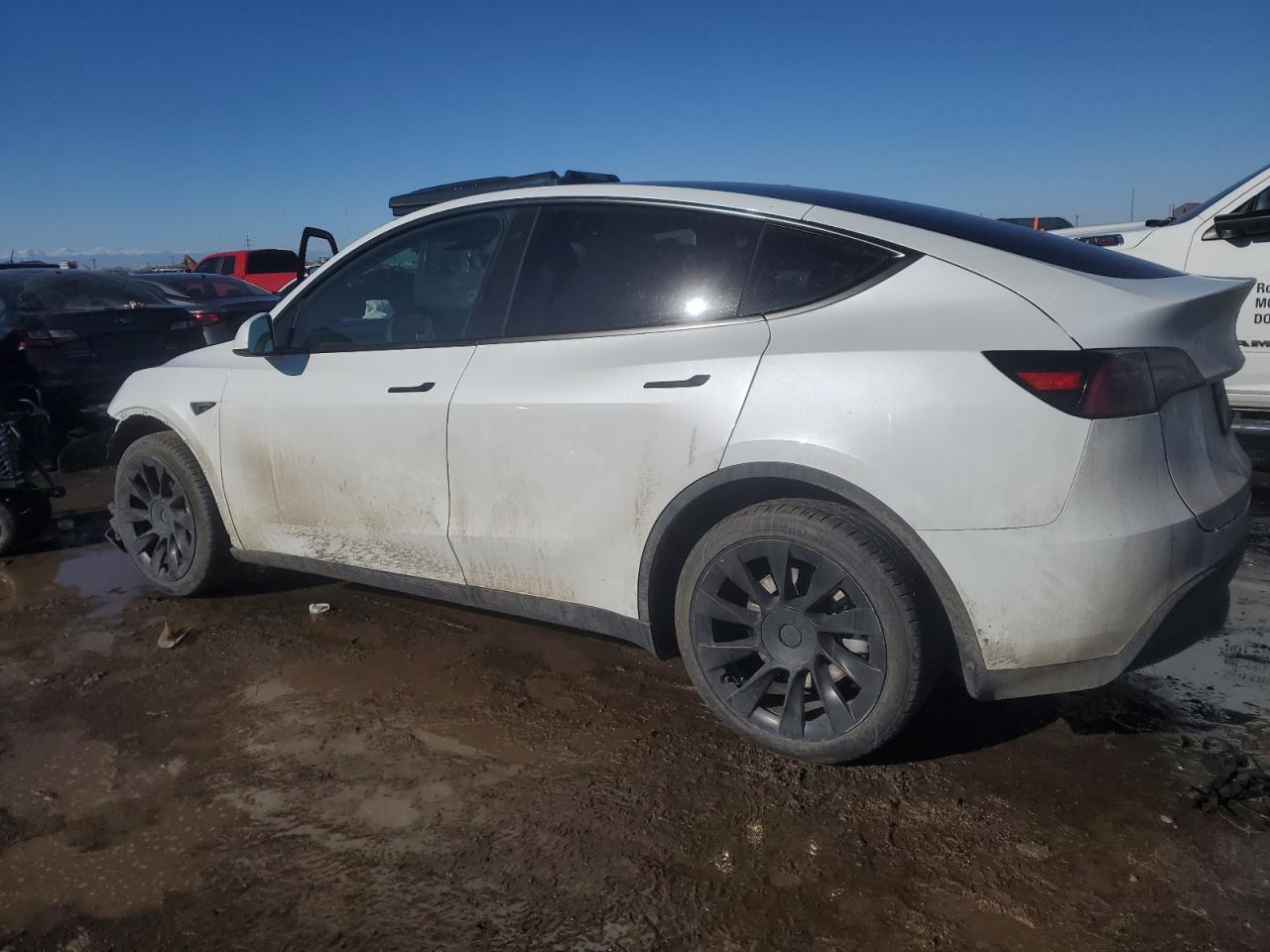 2023 TESLA MODEL Y - Фото 2