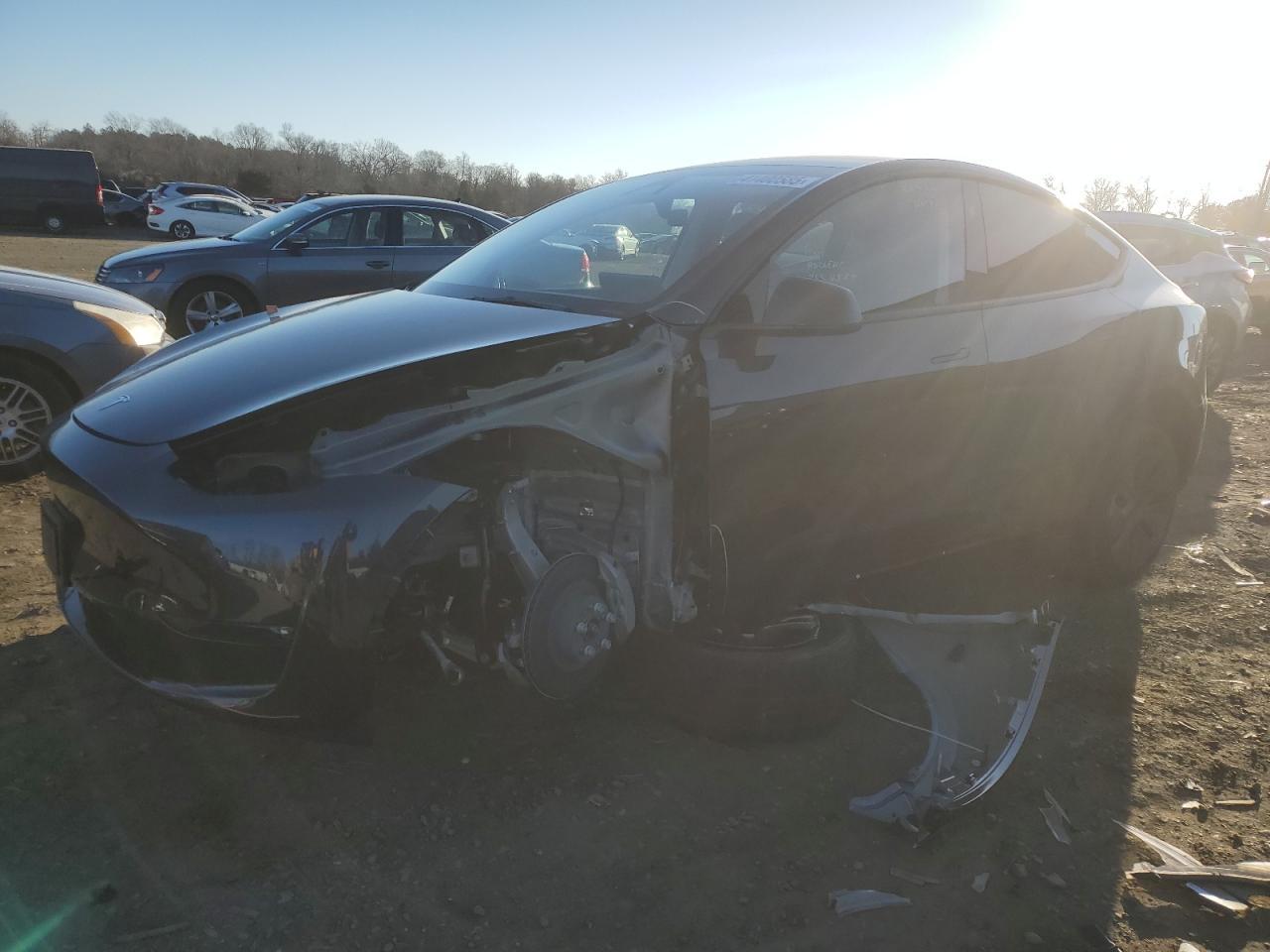 2024 TESLA MODEL Y