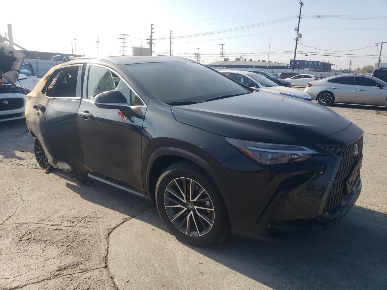 2024 LEXUS NX 350H BA - Фото 4