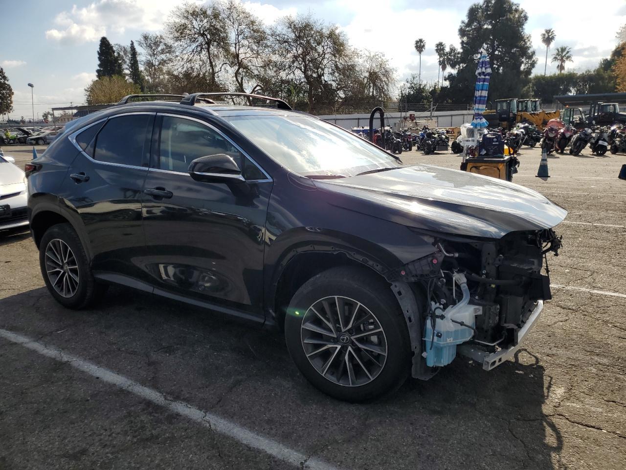 2024 LEXUS NX 350H BA - Фото 4