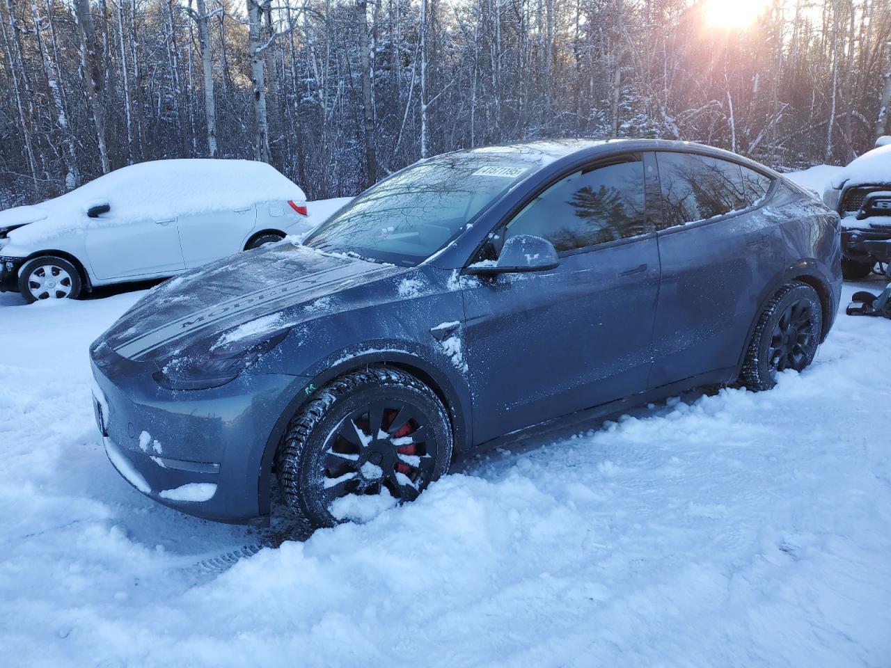2023 TESLA MODEL Y