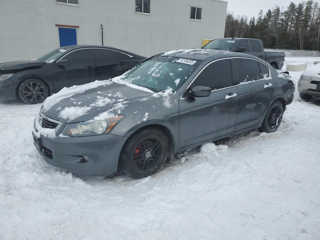 2010 HONDA ACCORD EXL