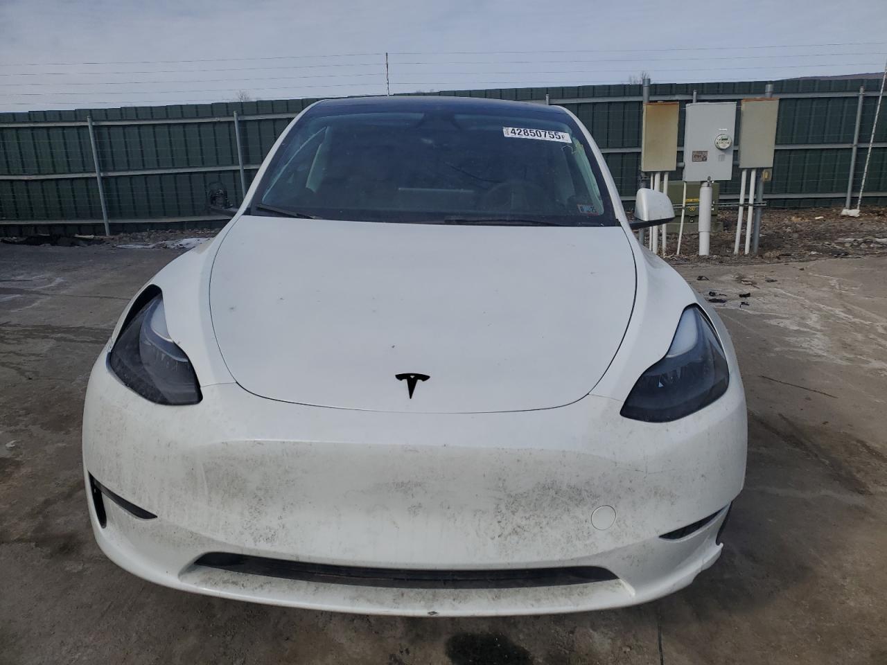 2024 TESLA MODEL Y - Image 5