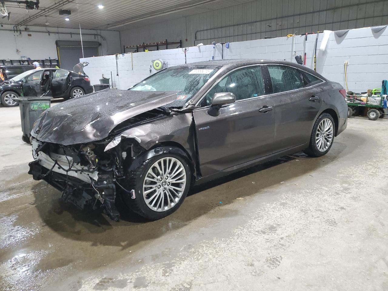 2019 TOYOTA AVALON XLE