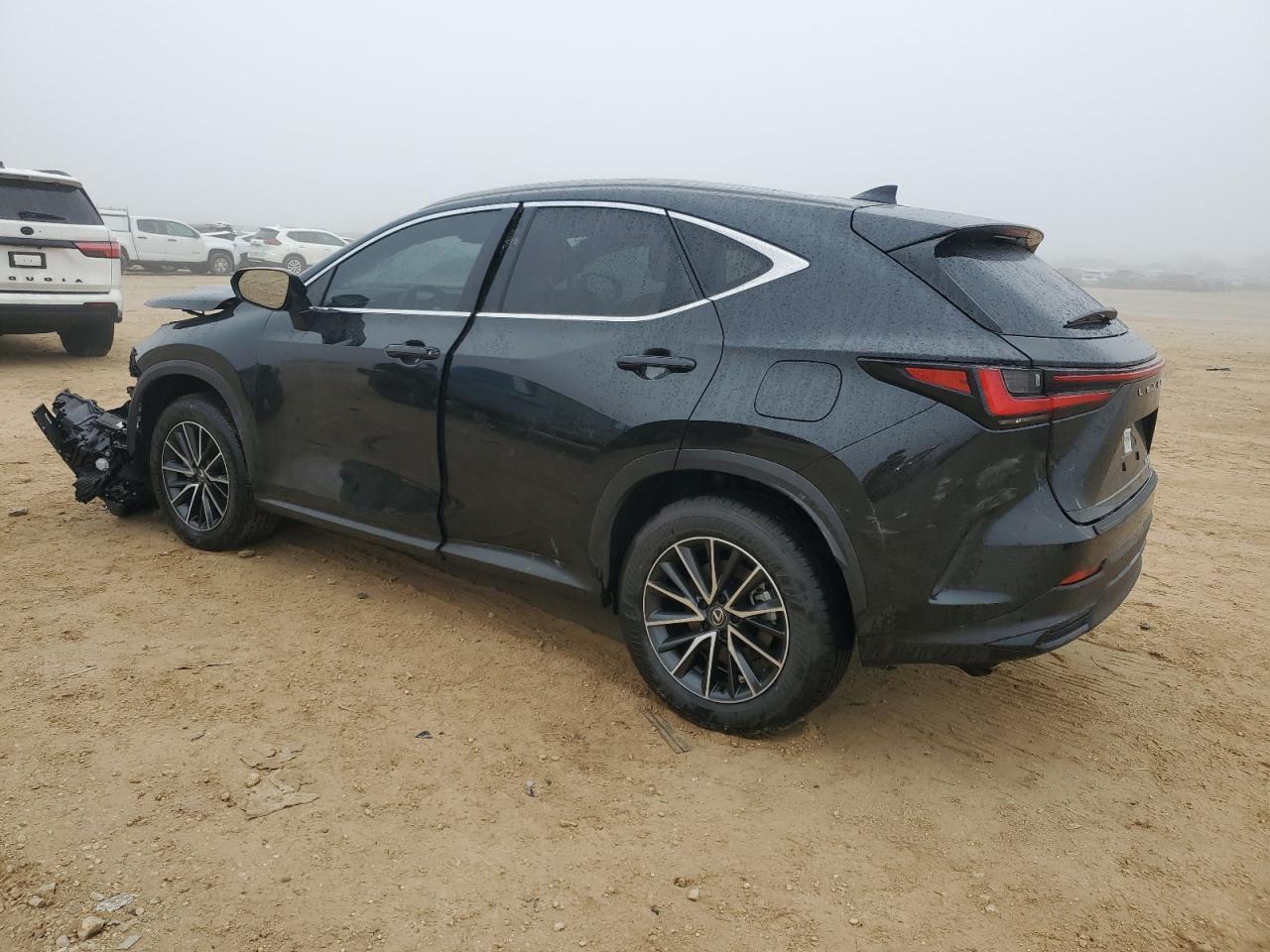 2024 LEXUS NX 350H BA - Image 2