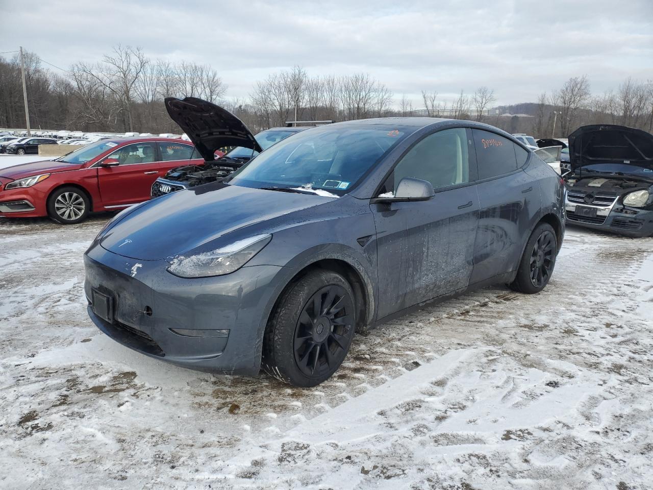 2023 TESLA MODEL Y