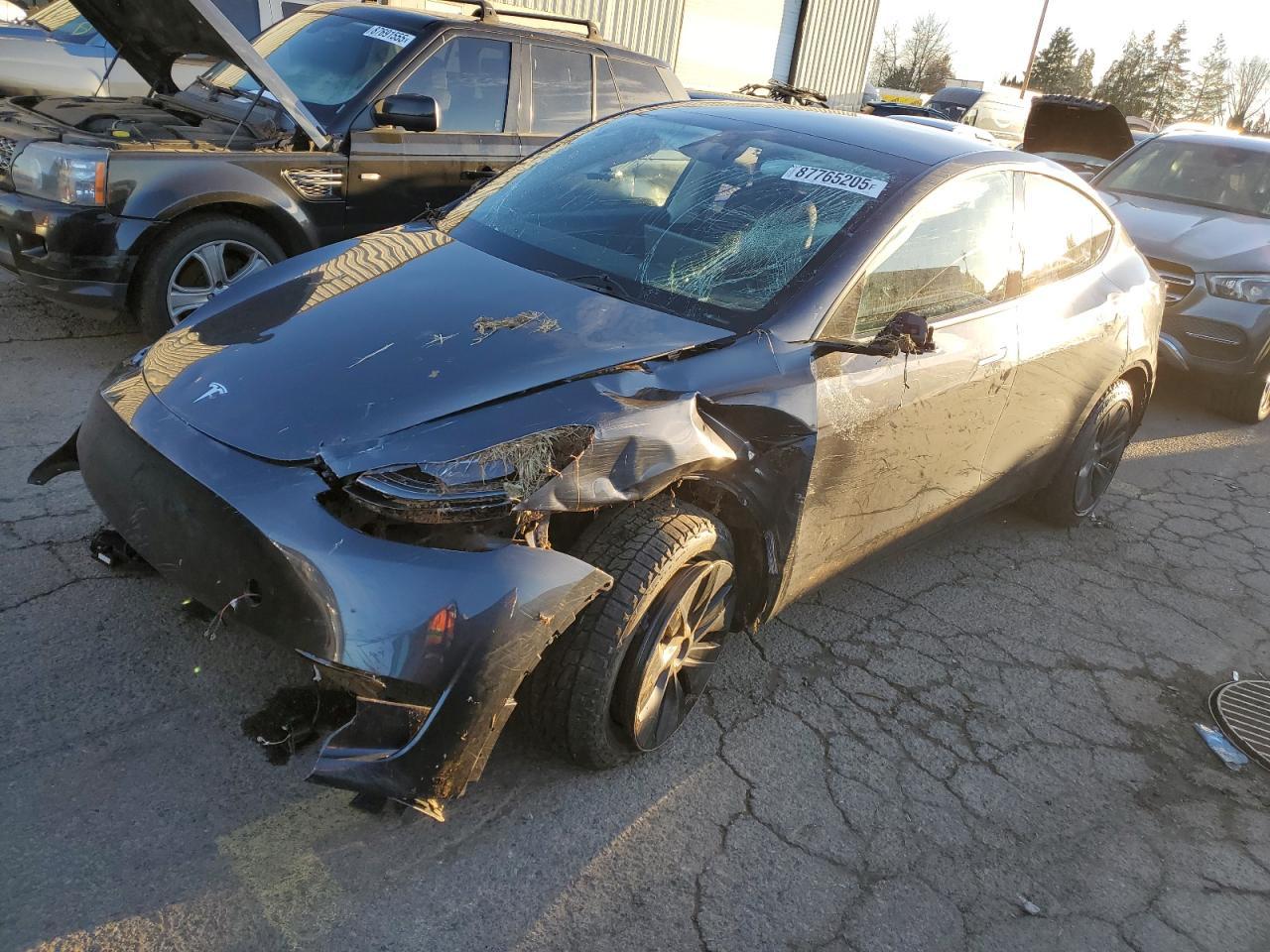 2025 TESLA MODEL Y