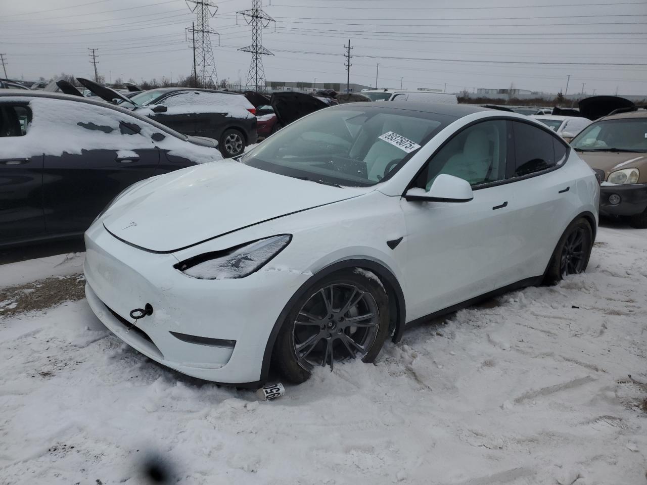 2025 TESLA MODEL Y