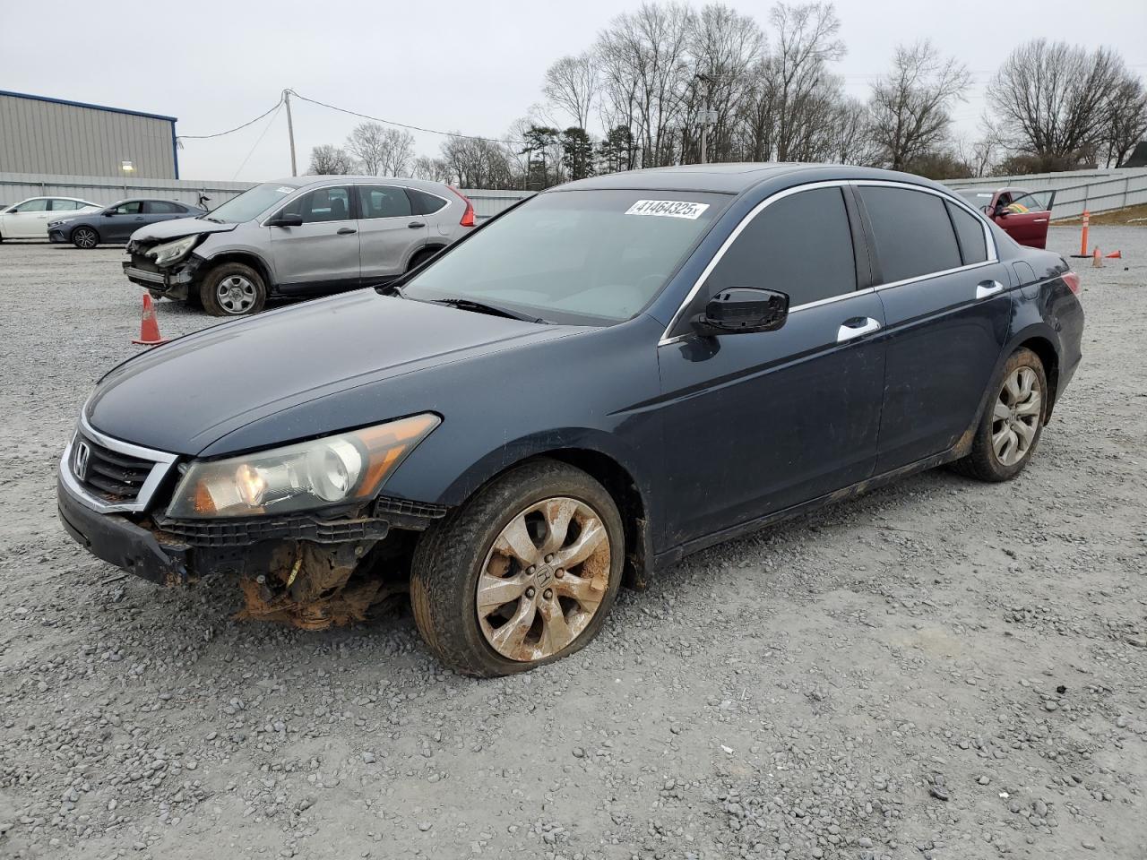 2010 HONDA ACCORD EXL
